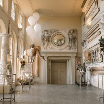 Galeriefoto 9