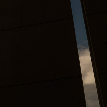Galeriefoto 8