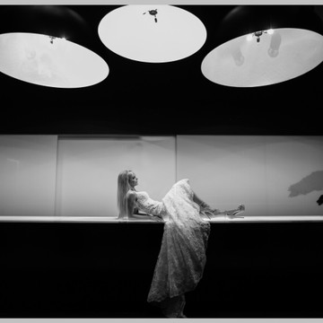 Galeriefoto 8