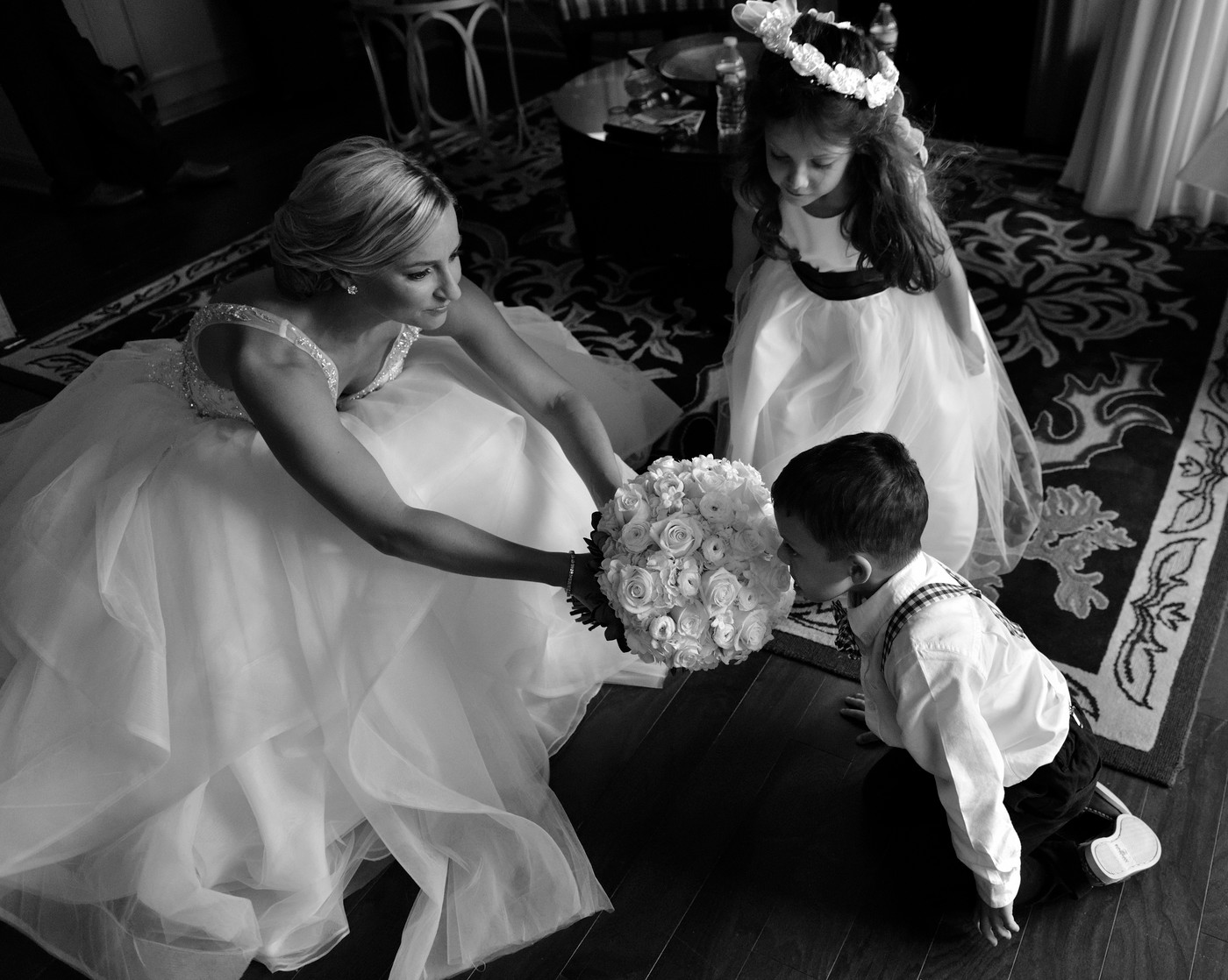 Collection 27 photo by Todd Shapera