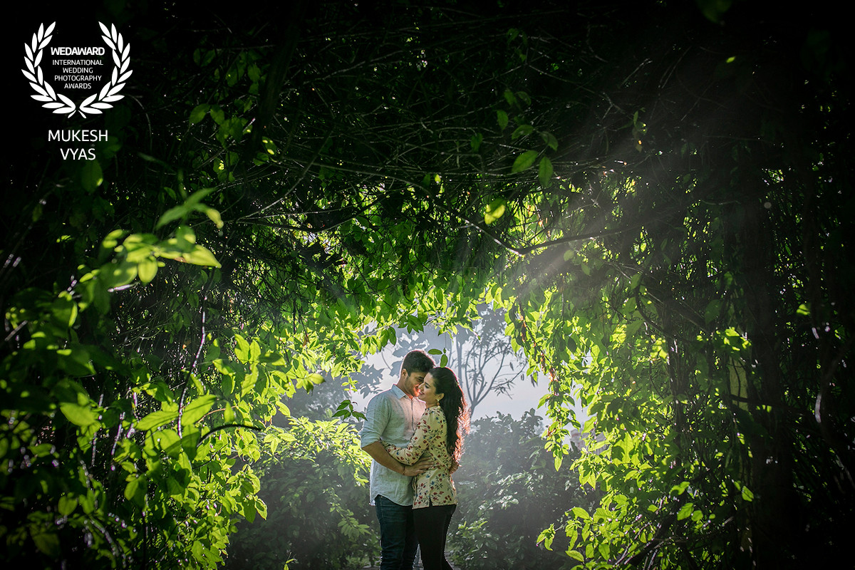 Collection 27 photo by Mukesh Vyas