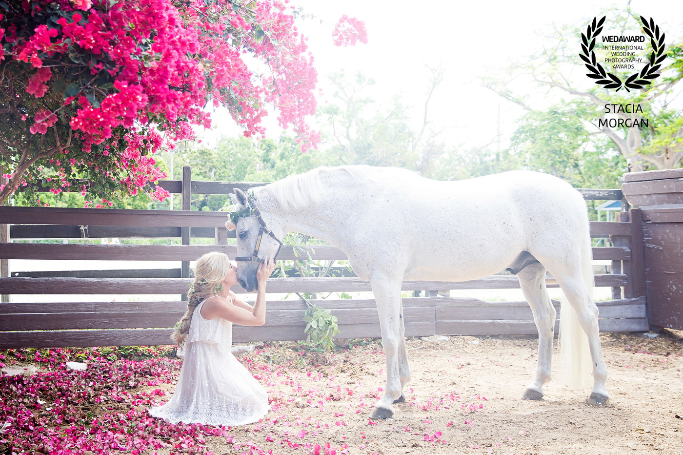 Collection 33 photo by Stacia Morgan