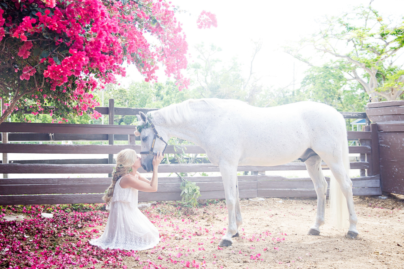 Collection 33 photo by Stacia Morgan