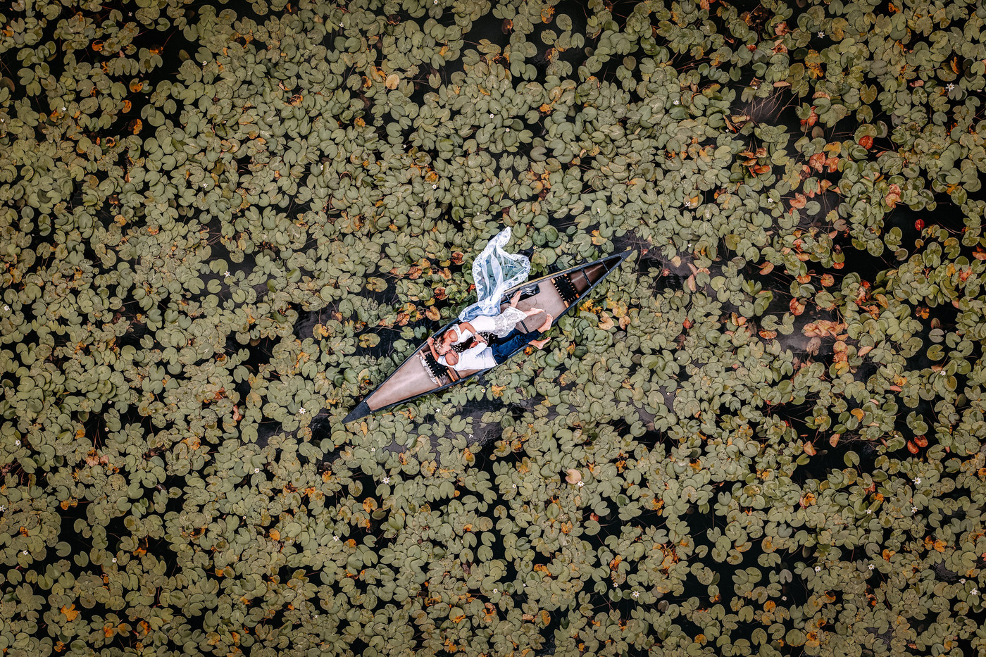 Collection 72 photo by Lars Gode
