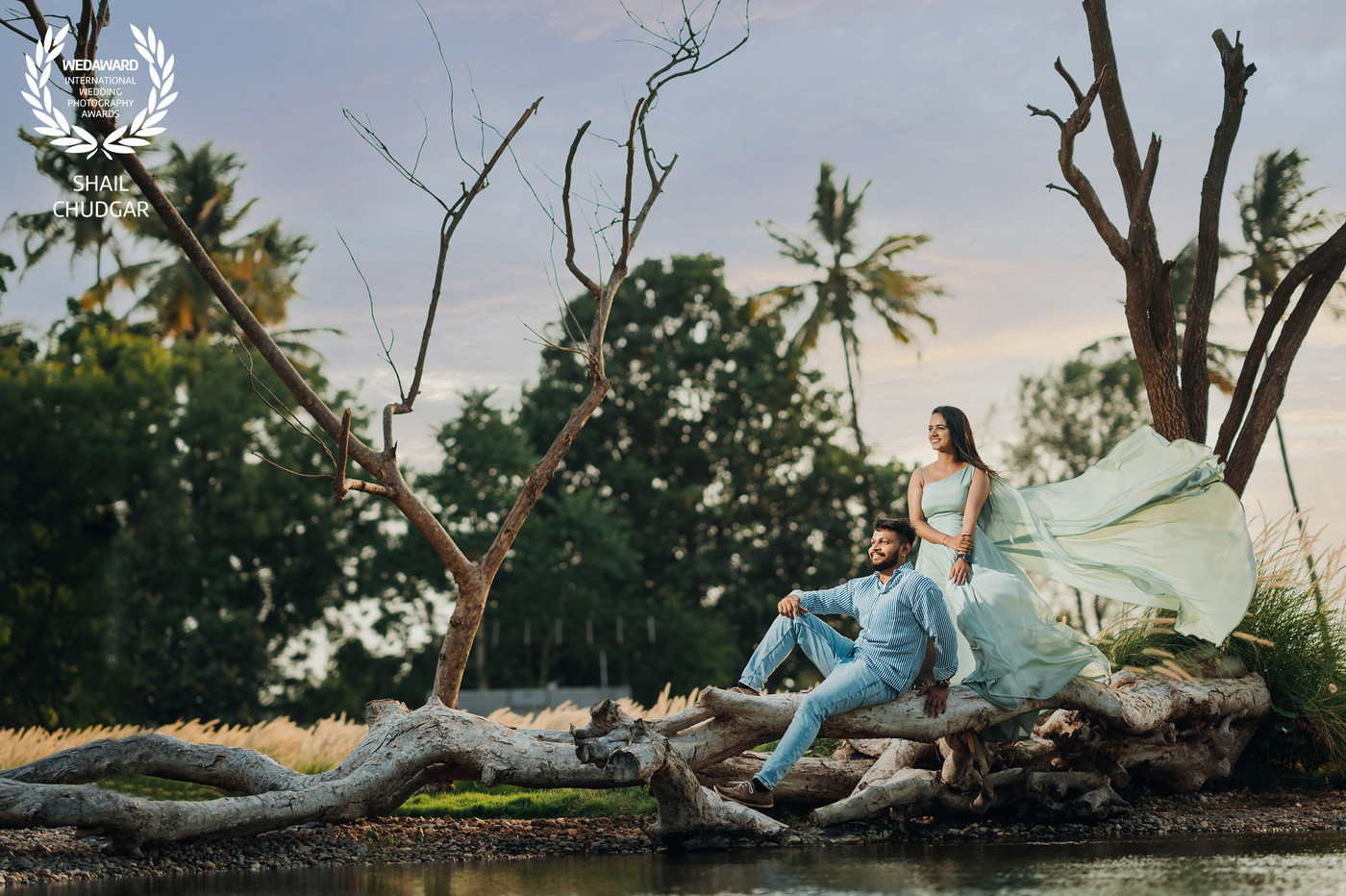 Collection 94 photo by Shail Chudgar