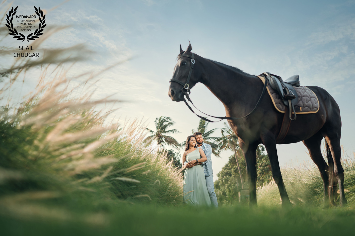 Collection 96 photo by Shail Chudgar