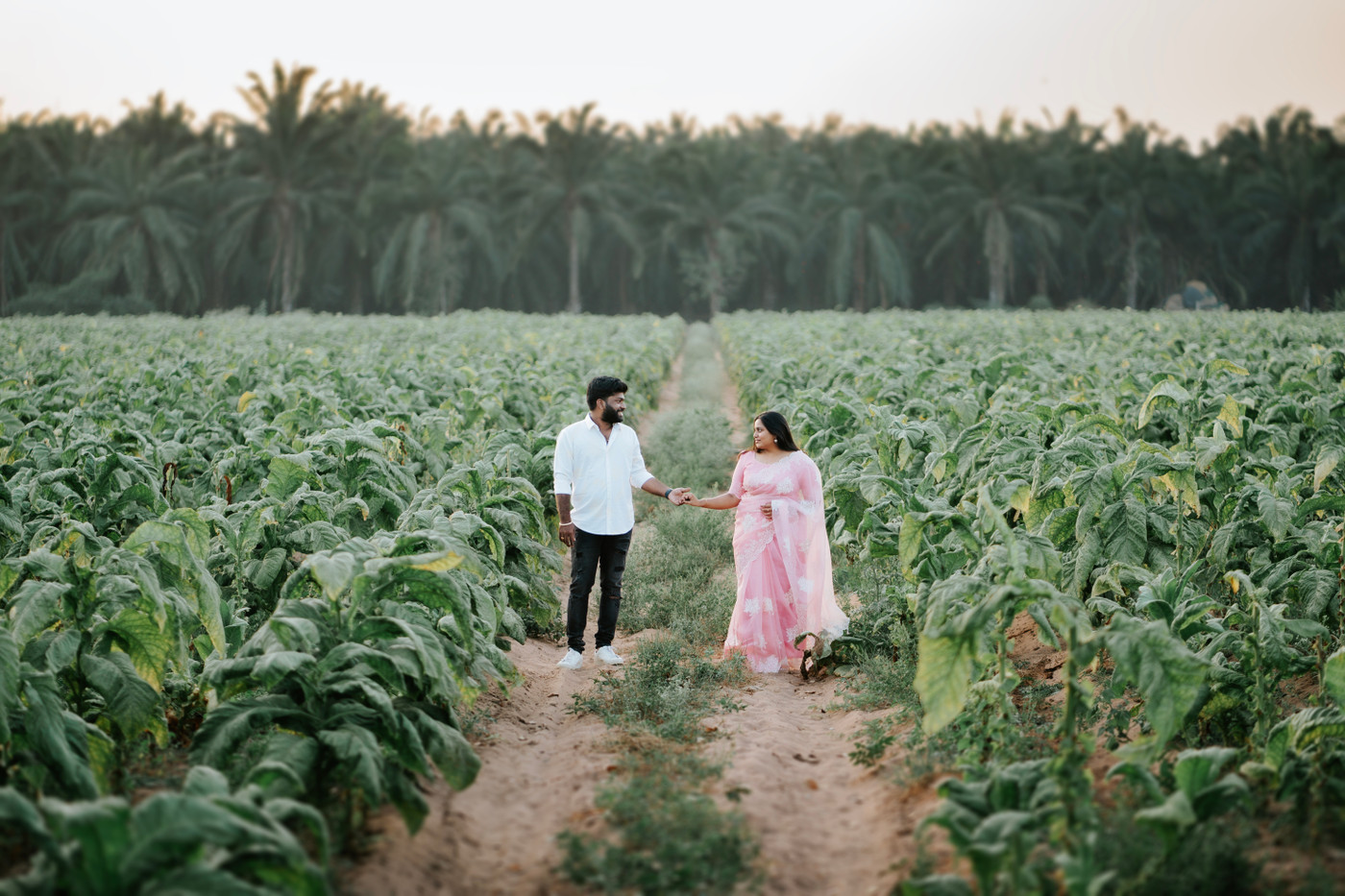 Collection 110 photo by Sachin Vigneshwar