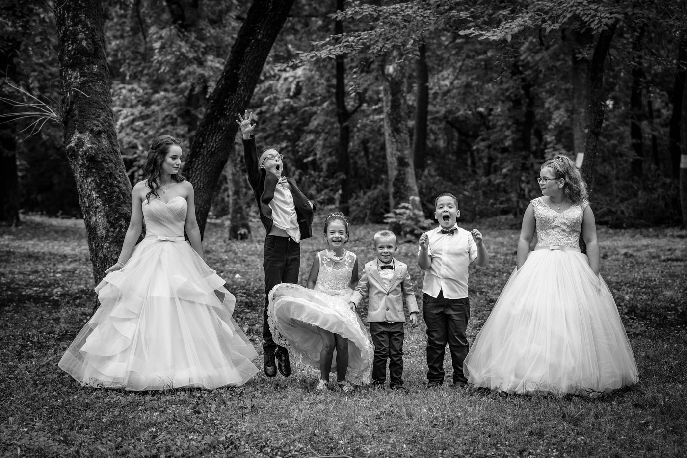 Collection 112 photo by Józsa Tamás