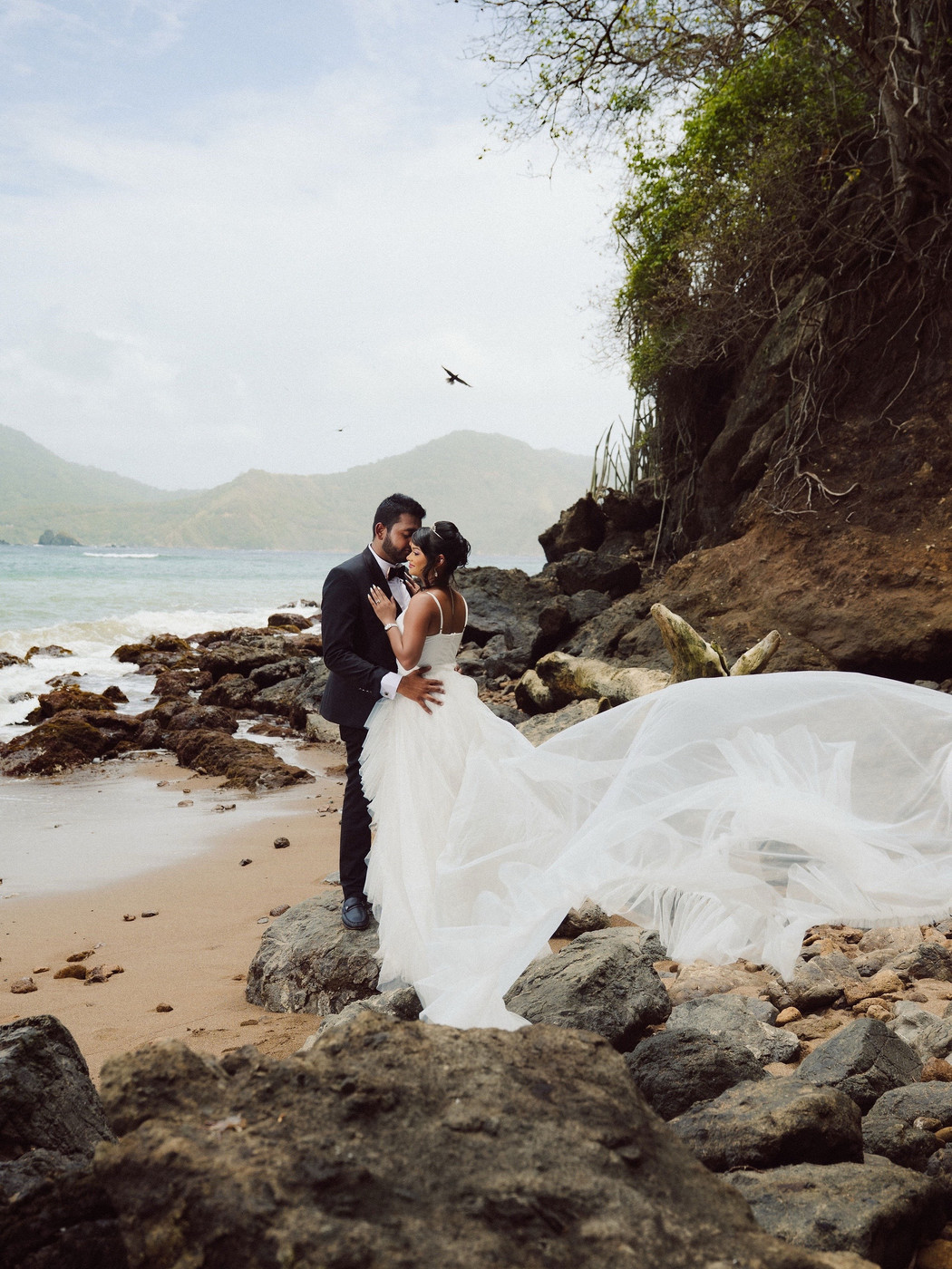 Collection 121 photo by Shemeon Williams