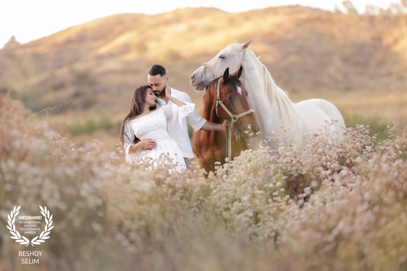 Collection 132 photo by Beshoy Selim