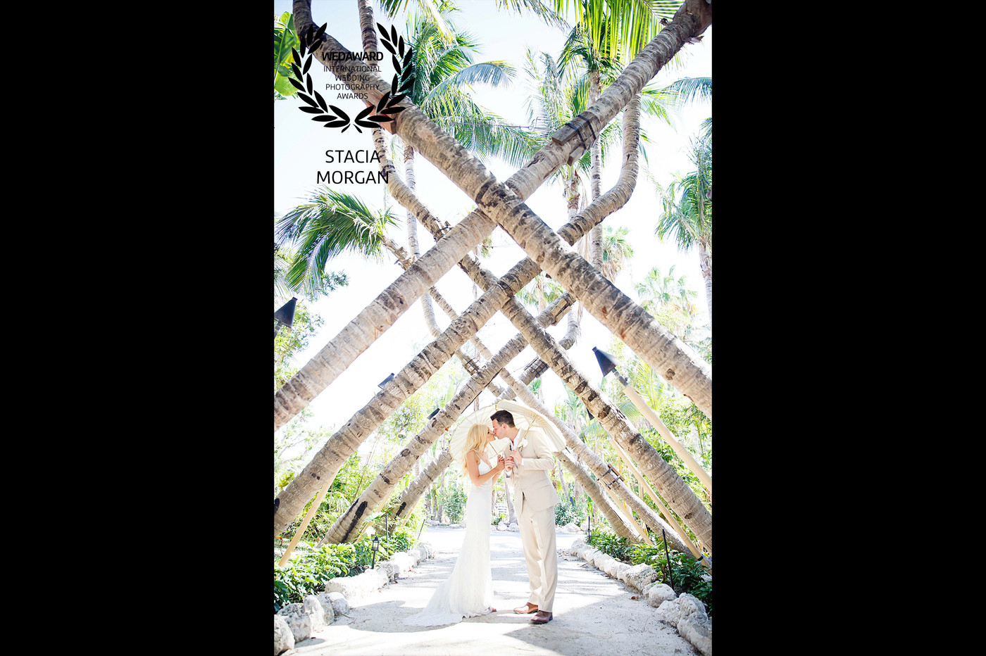 Collection 32 photo by Stacia Morgan