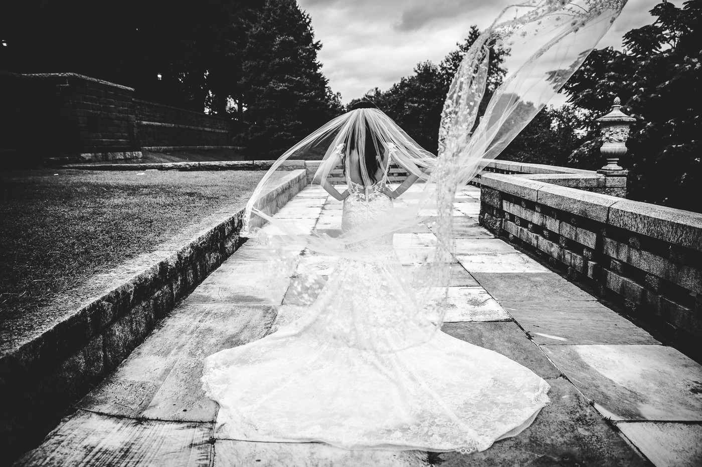 Collection 36 photo by Philip Siciliano