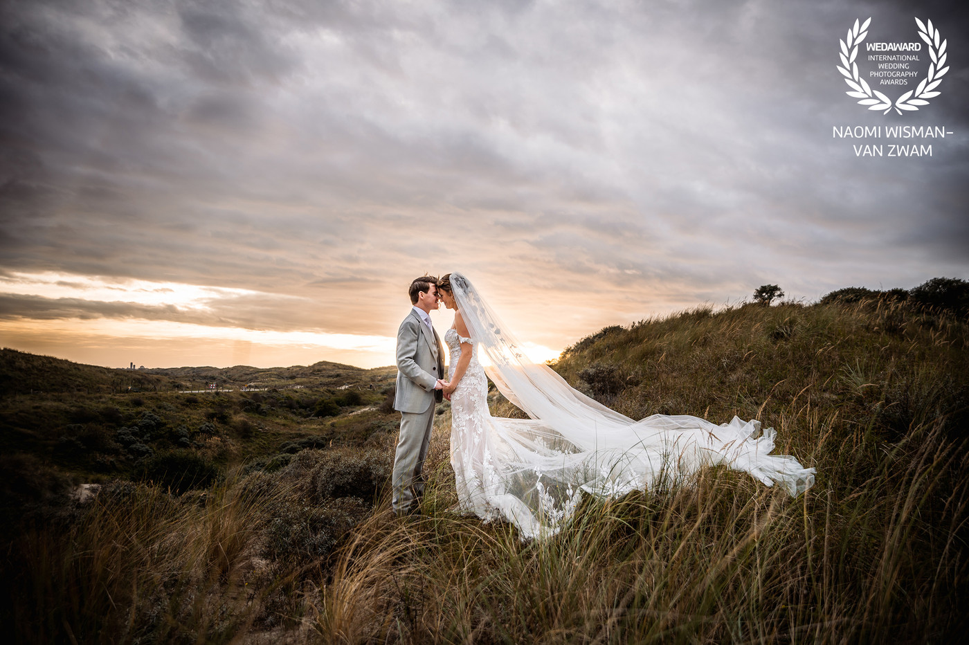Collection 74 photo by Naomi Wisman - Van Zwam