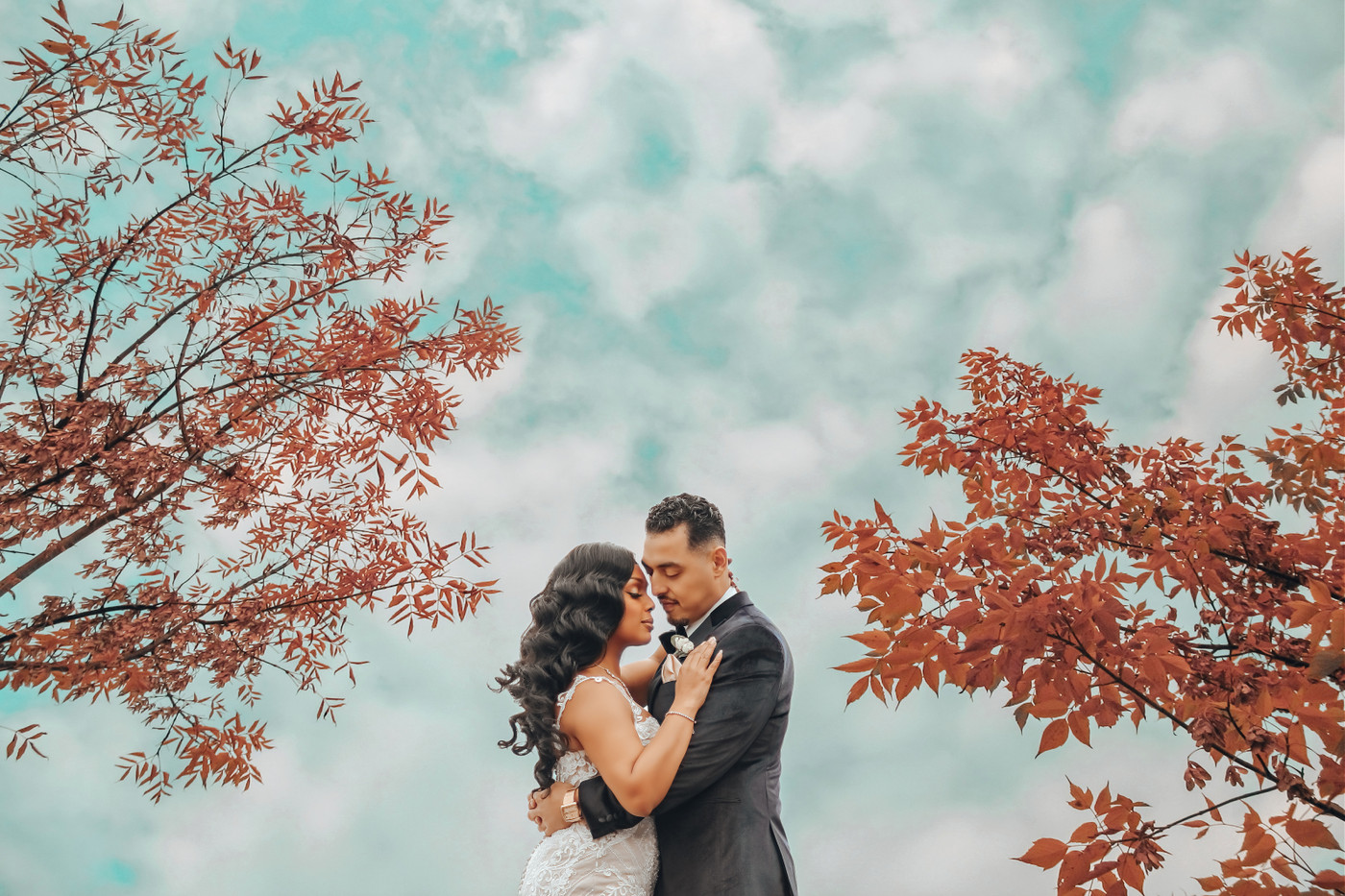 Collection 79 photo by Beshoy Selim