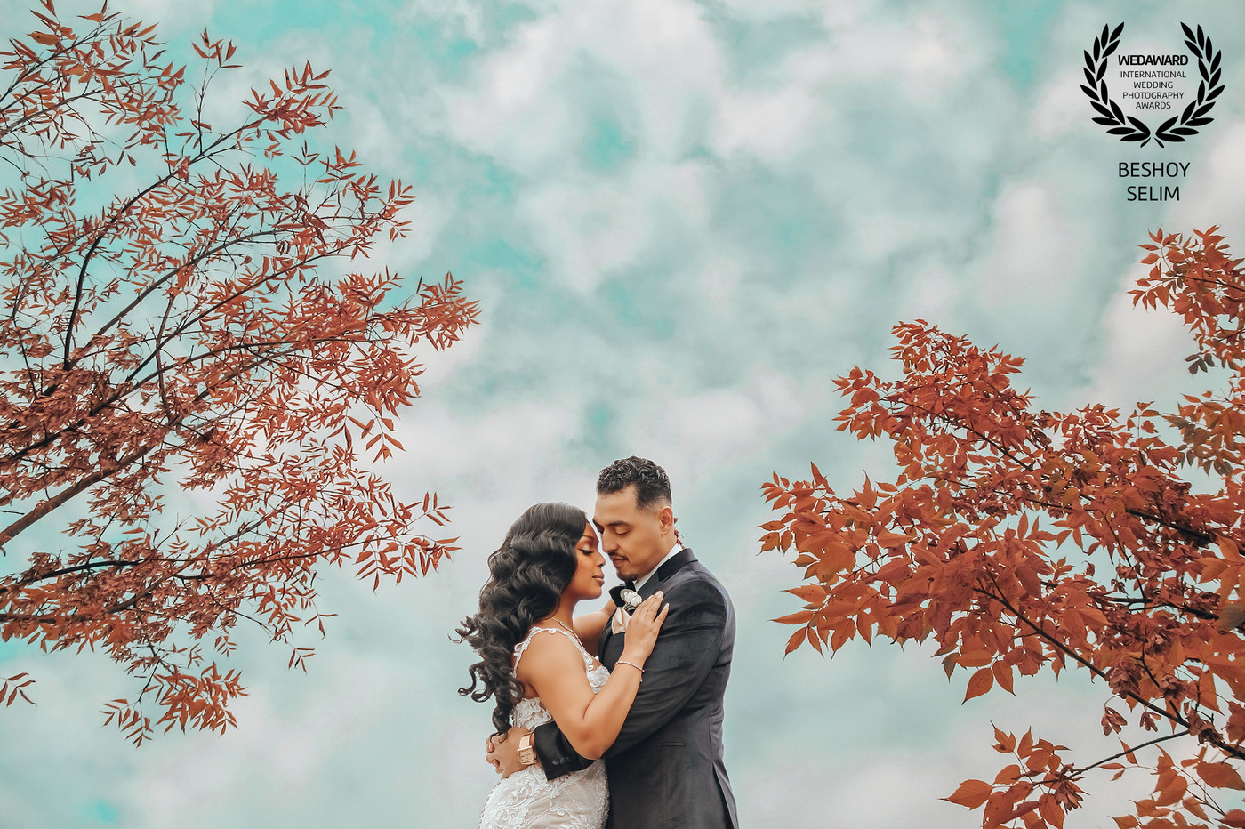 Collection 79 photo by Beshoy Selim