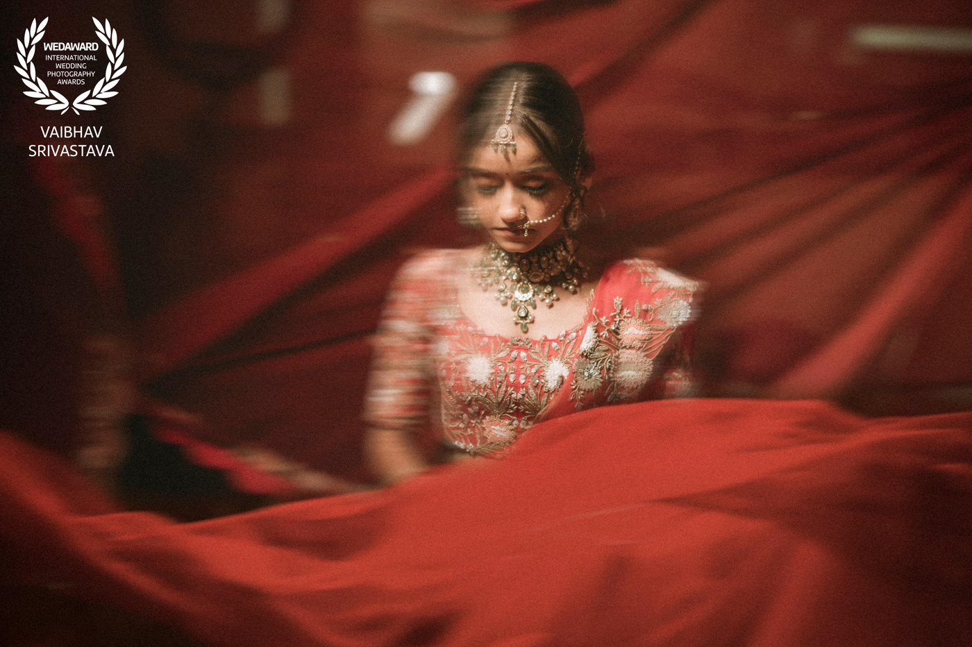 Collection 101 photo by Vaibhav Srivastava