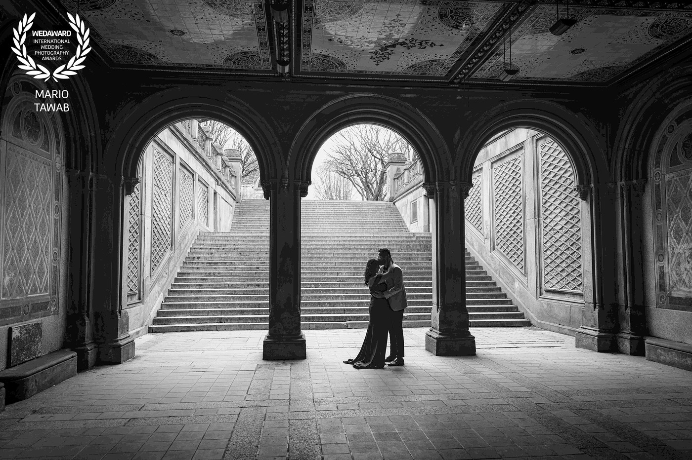 Collection 101 photo by Mario Tawab