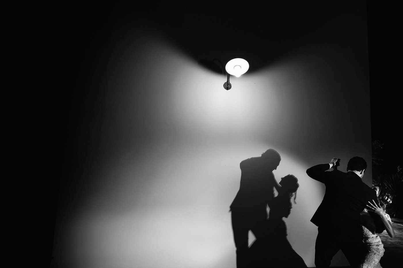 Collection 102 photo by Alessandro Spagnolo