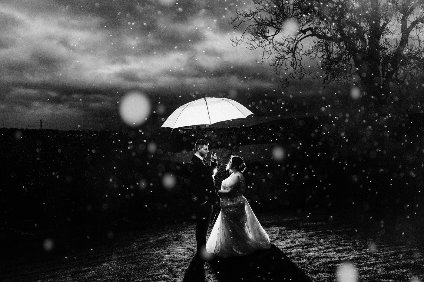 Collection 103 photo by Daniel Burton