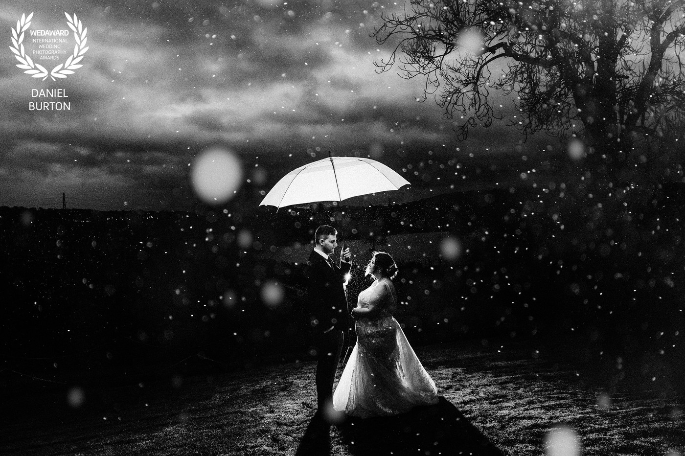 Collection 103 photo by Daniel Burton