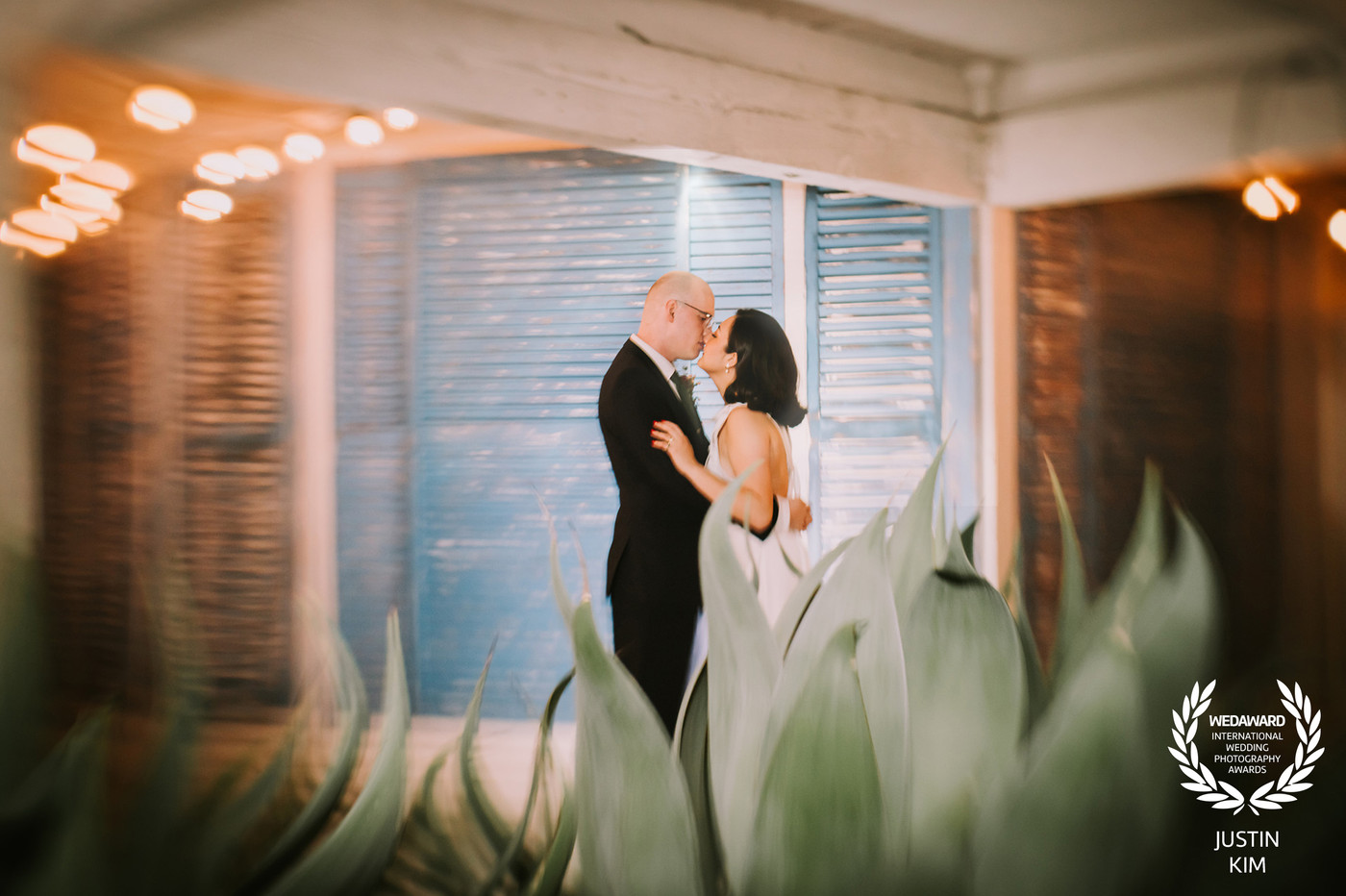 Collection 105 photo by Justin Kim