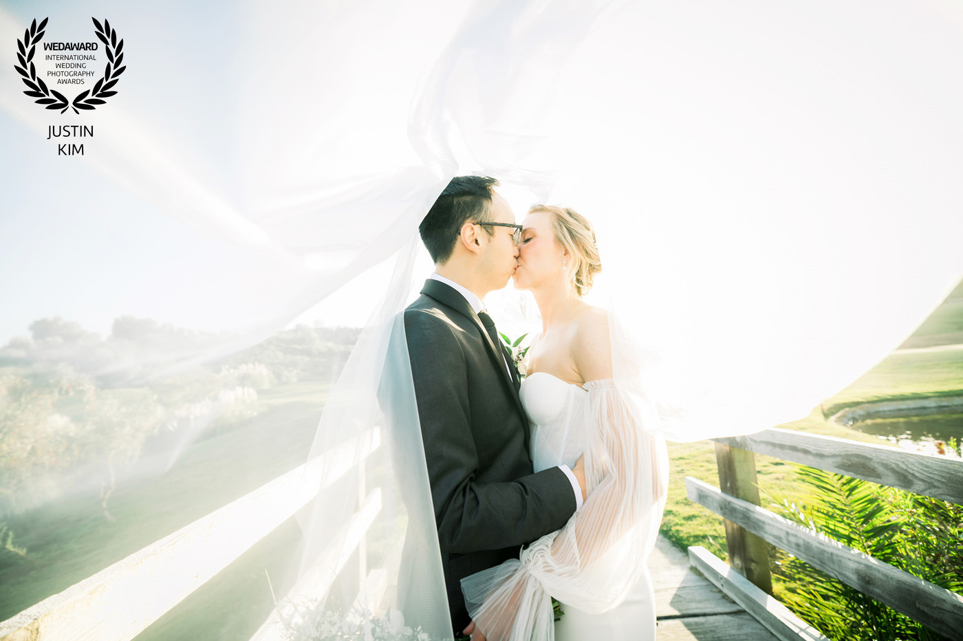 Collection 111 photo by Justin Kim