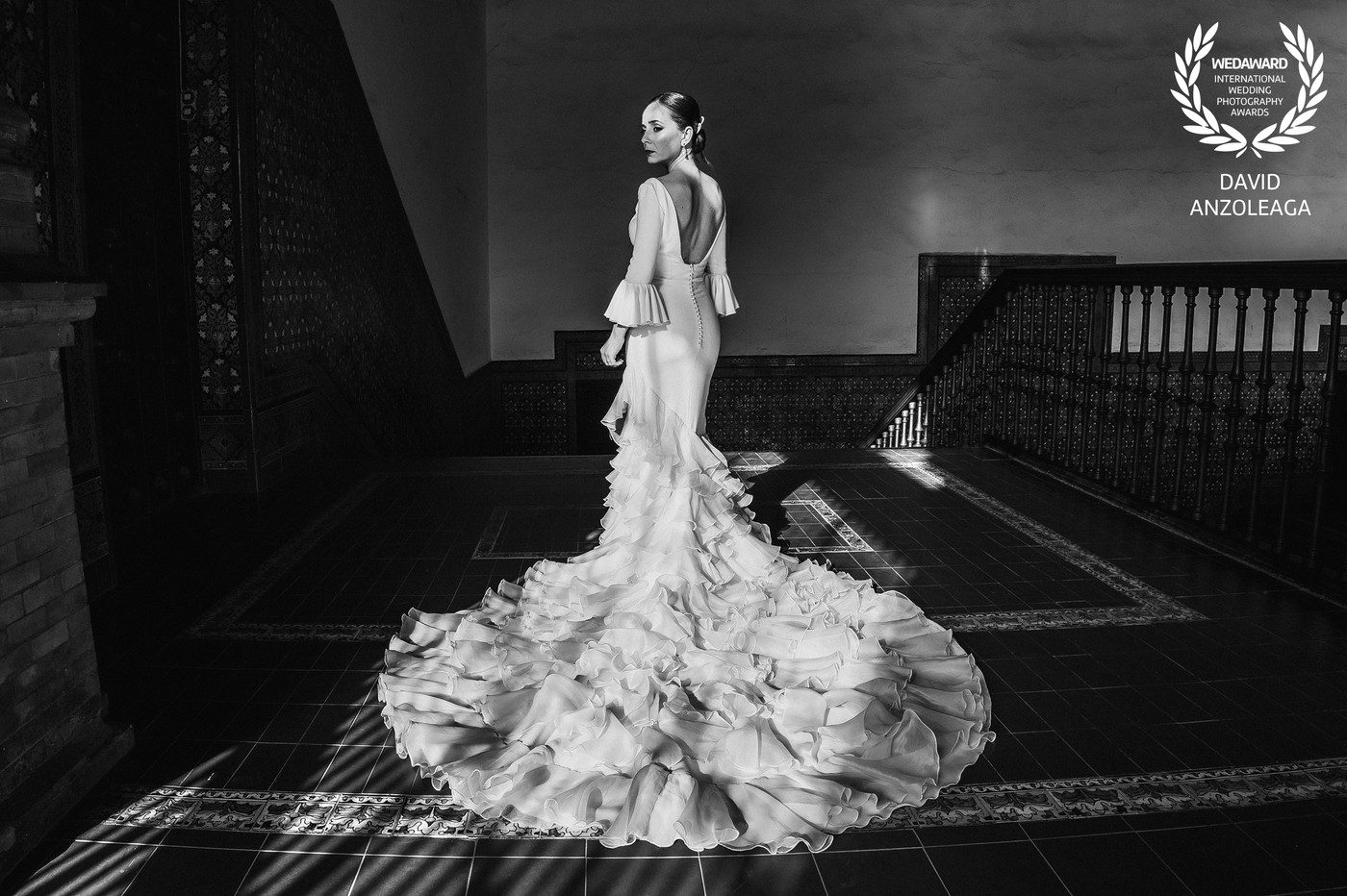 Collection 111 photo by David Anzoleaga