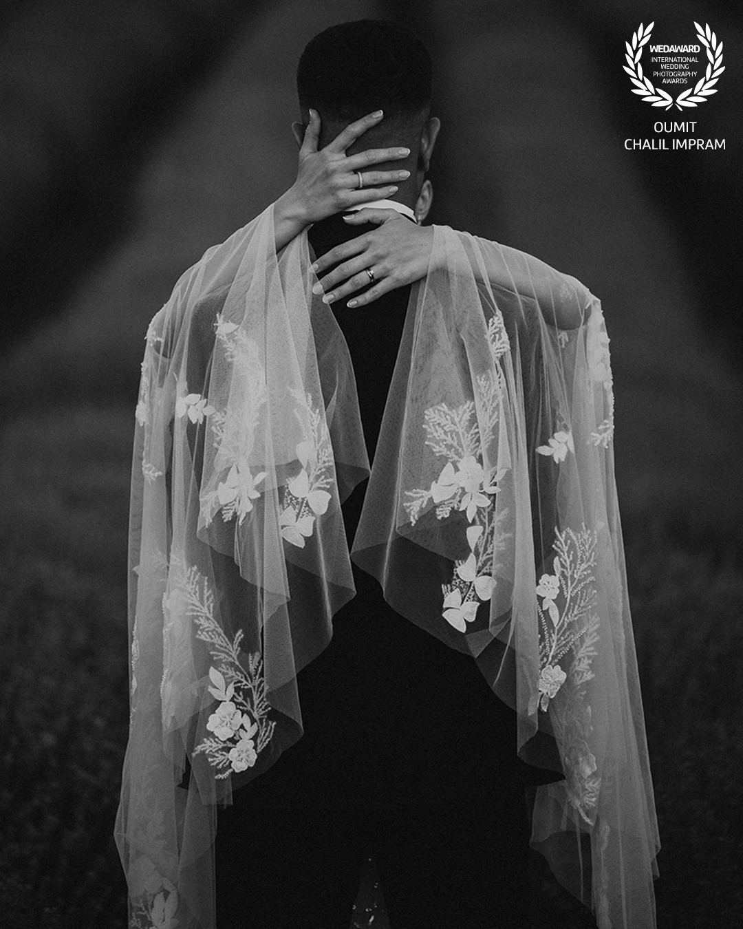 Collection 111 photo by Oumit Chalil Impram