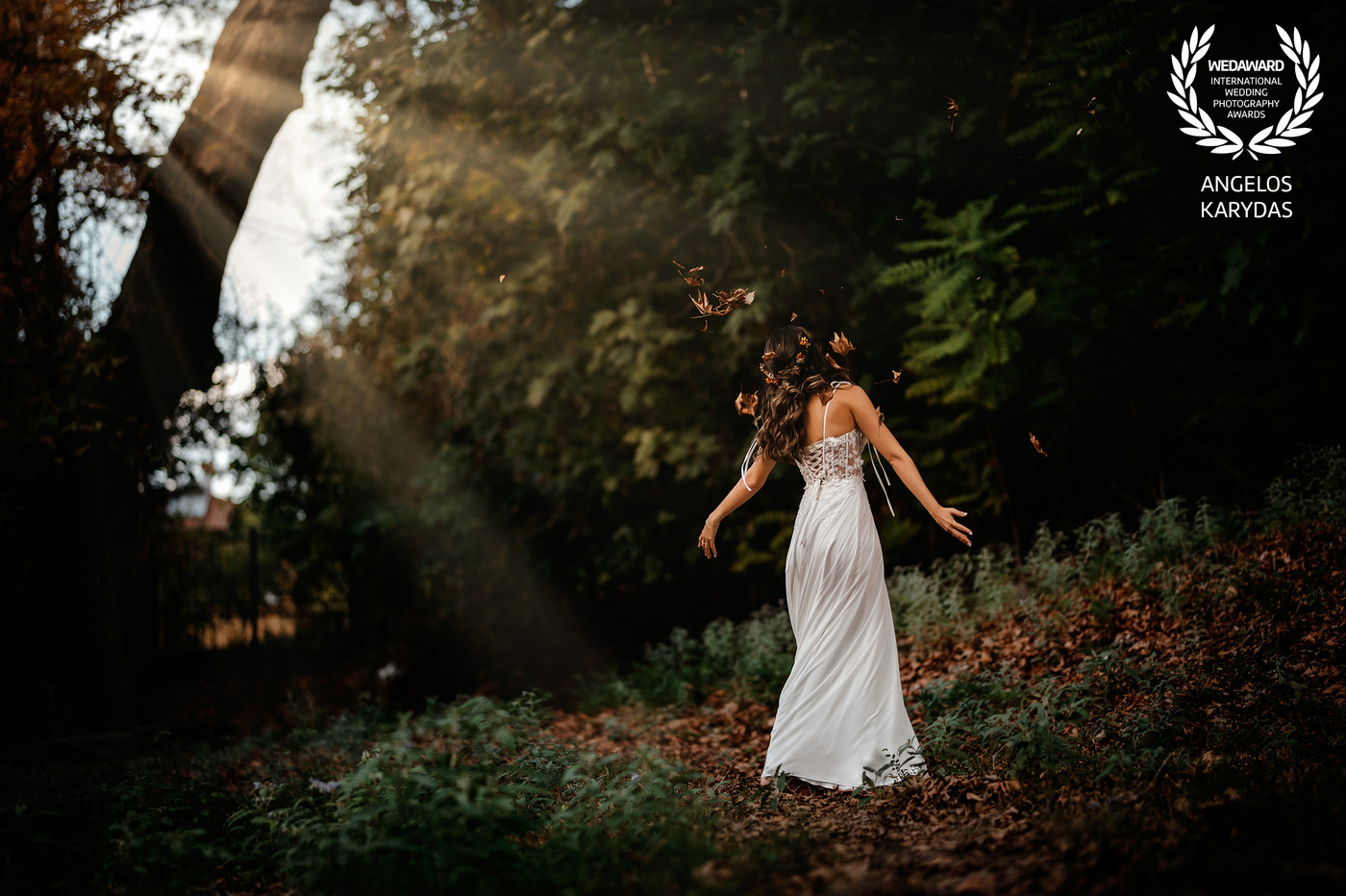 Collection 112 photo by Angelos Karydas
