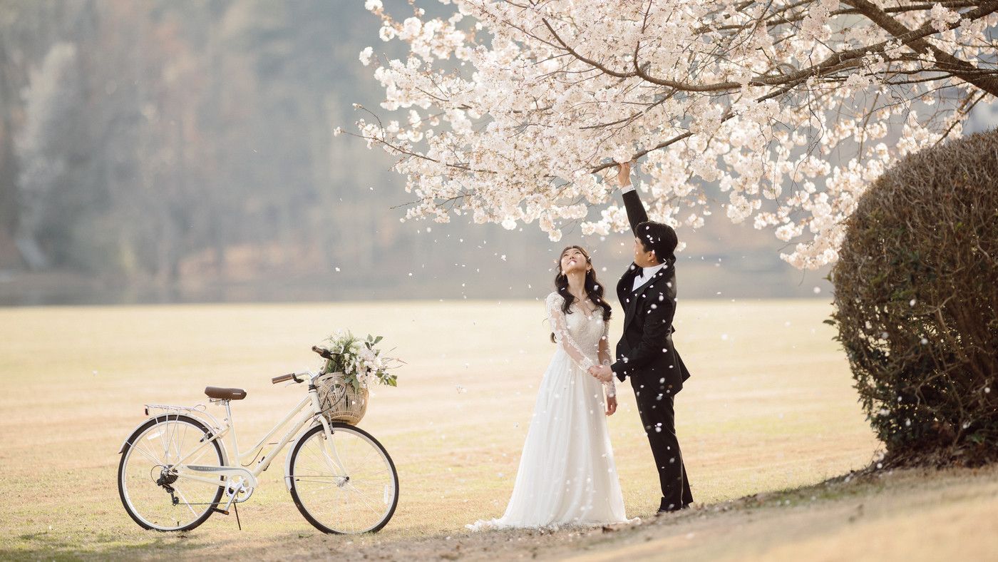 Collection 113 photo by Kye Park