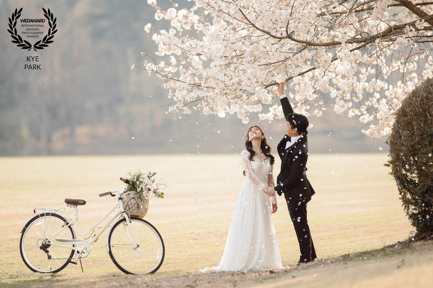 Collection 113 photo by Kye Park