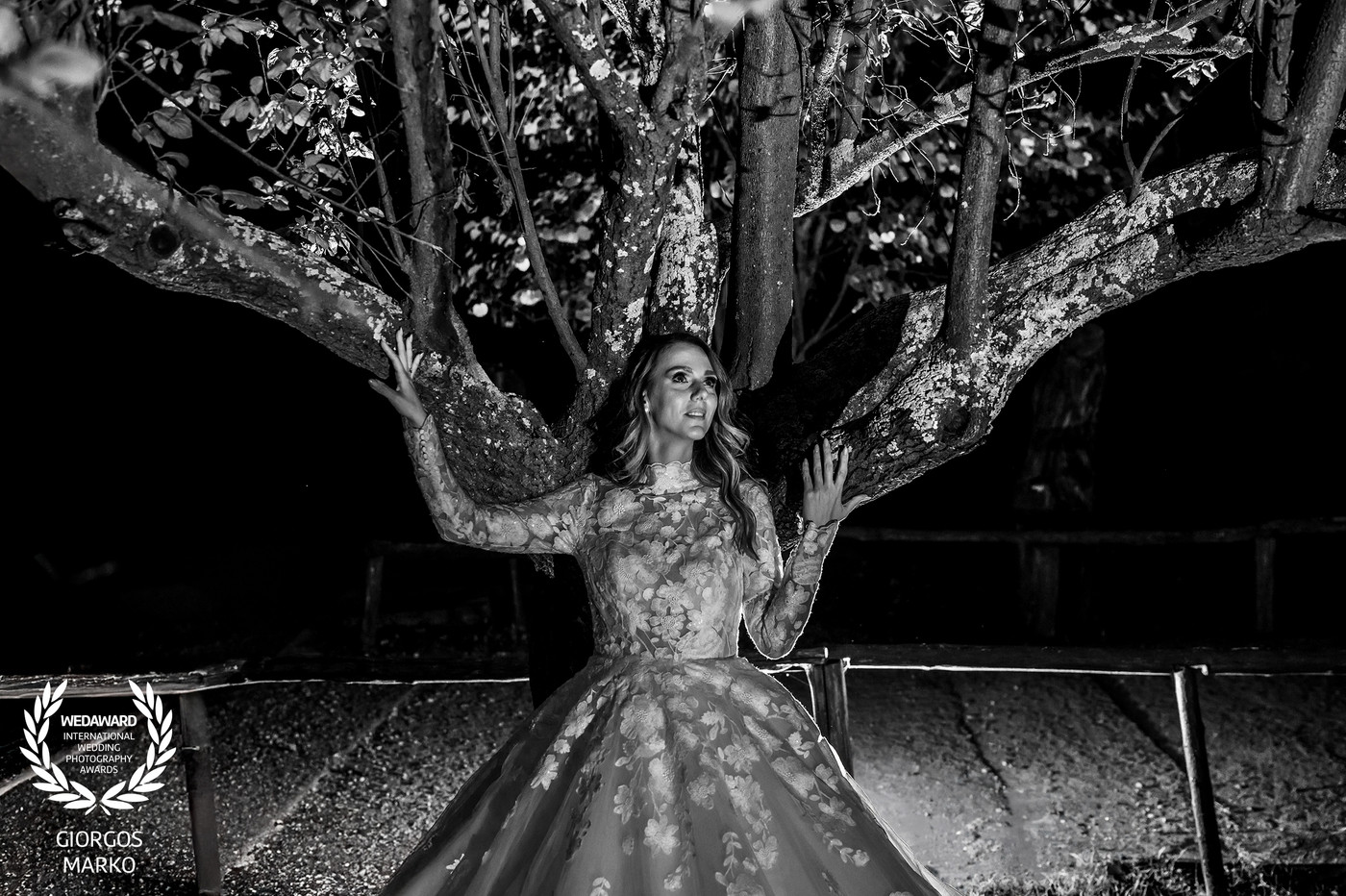 Collection 113 photo by Giorgos Marko