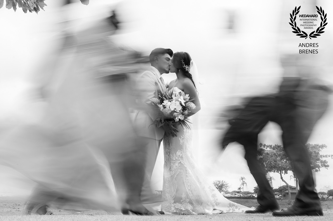 Collection 118 photo by Andrés Brenes