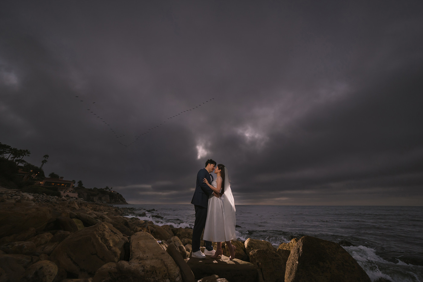 Collection 122 photo by Justin Kim