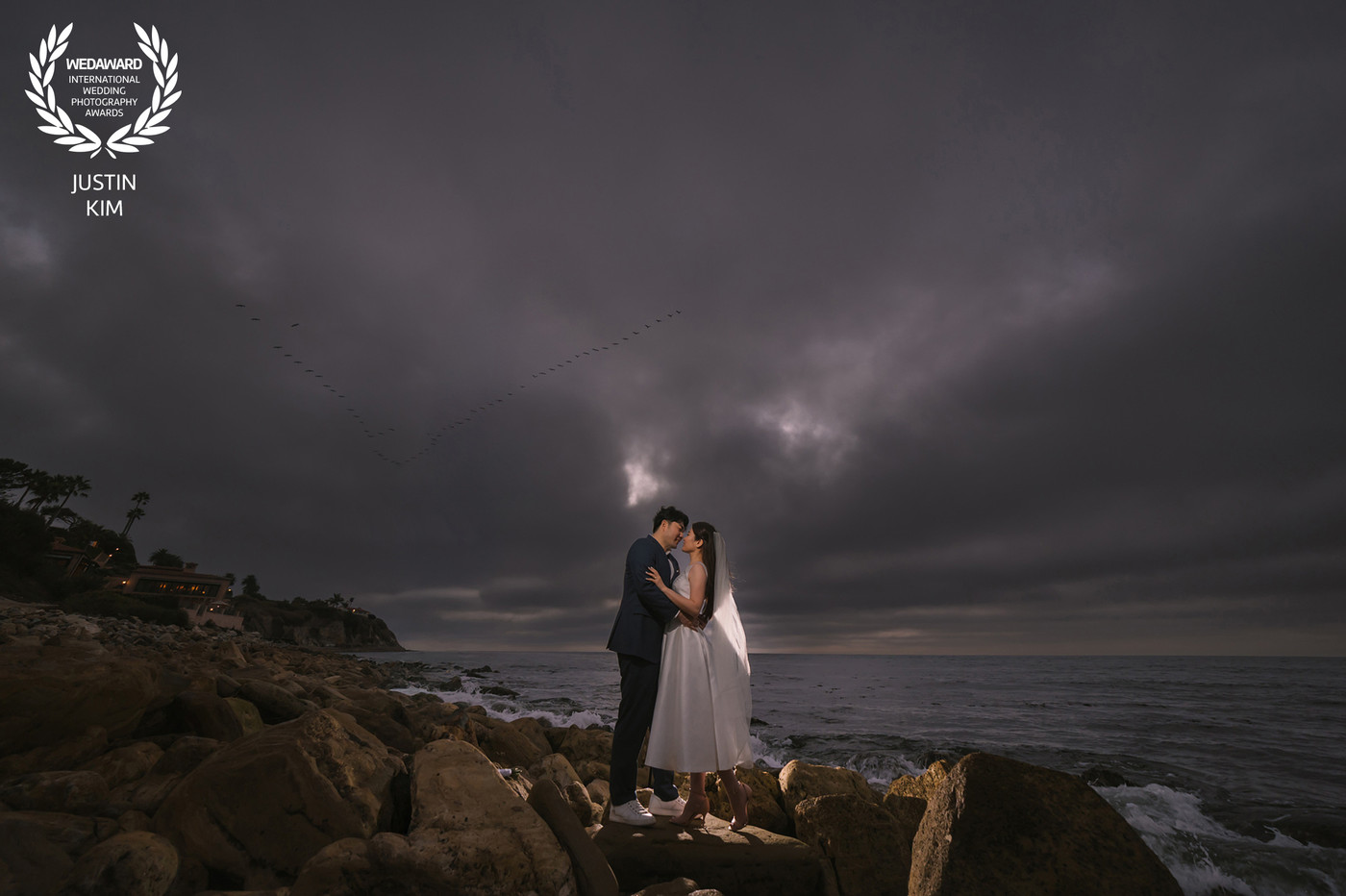 Collection 122 photo by Justin Kim