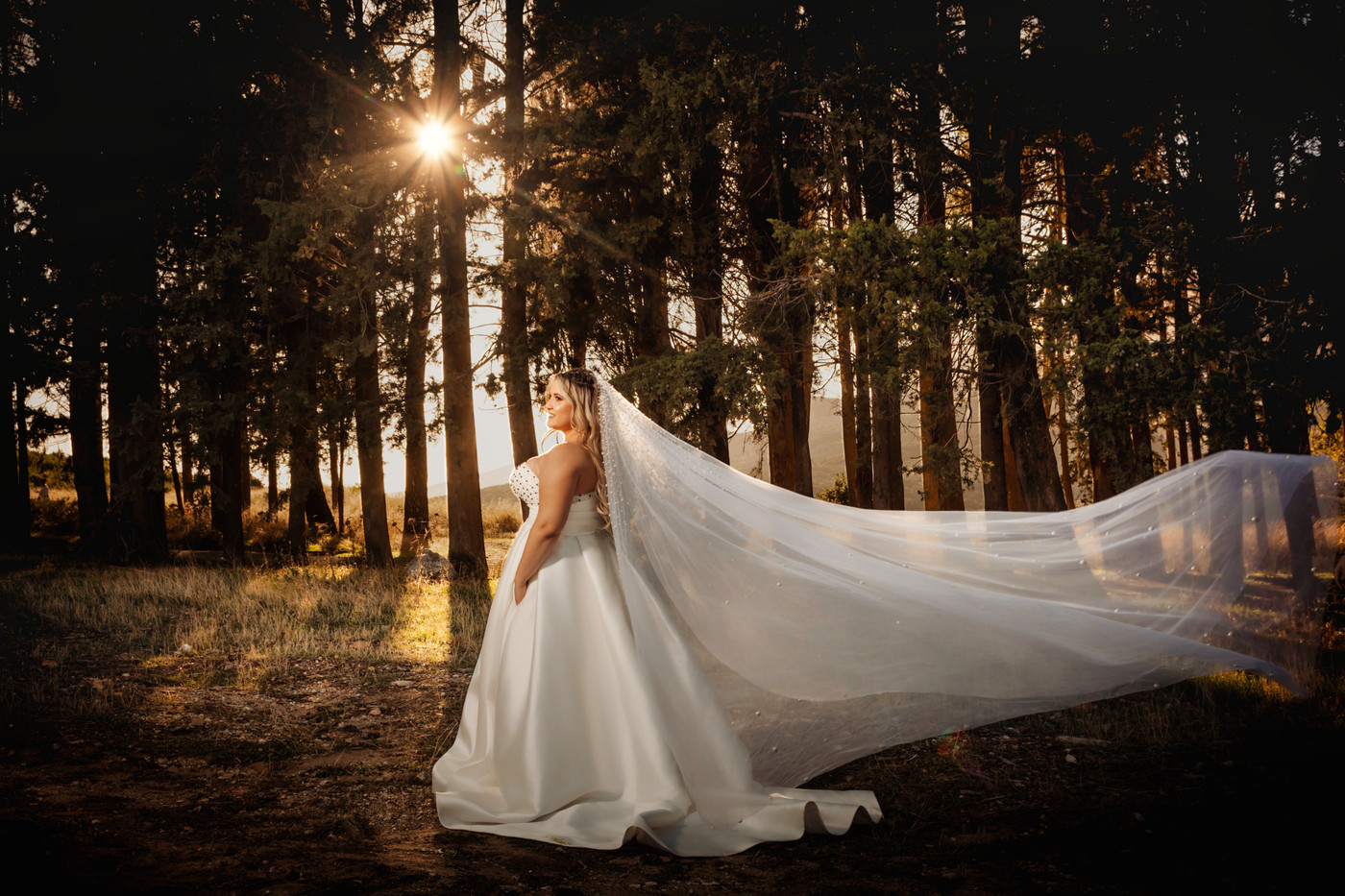 Collection 123 photo by Theodore Vourlis
