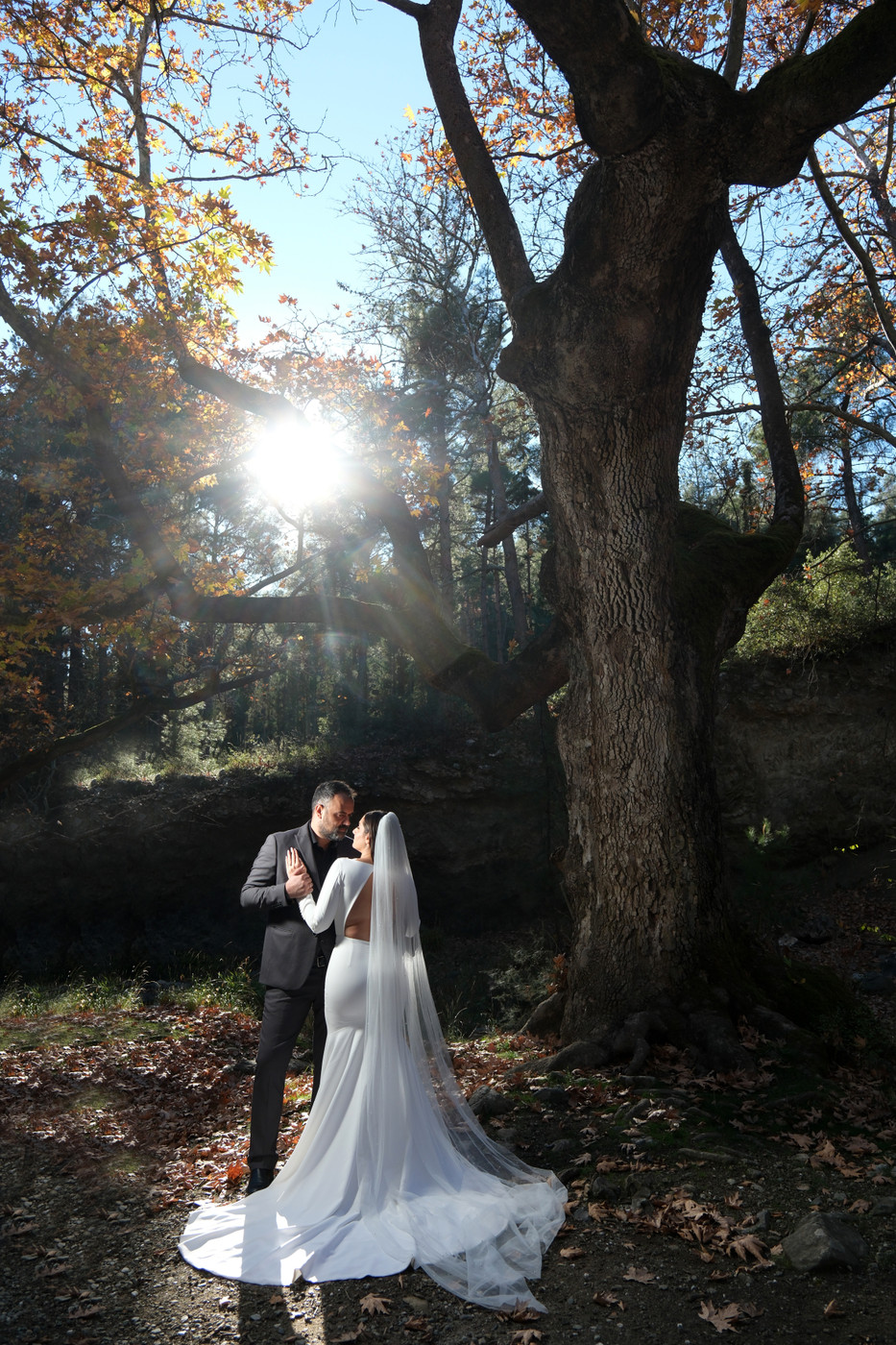 Collection 124 photo by Sotiris Tripsanis