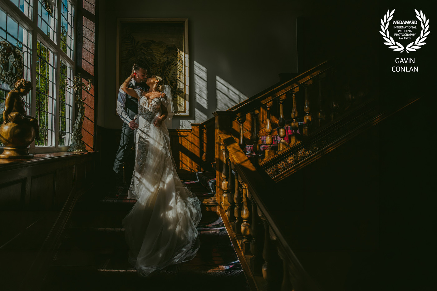 Collection 126 photo by Gavin Conlan