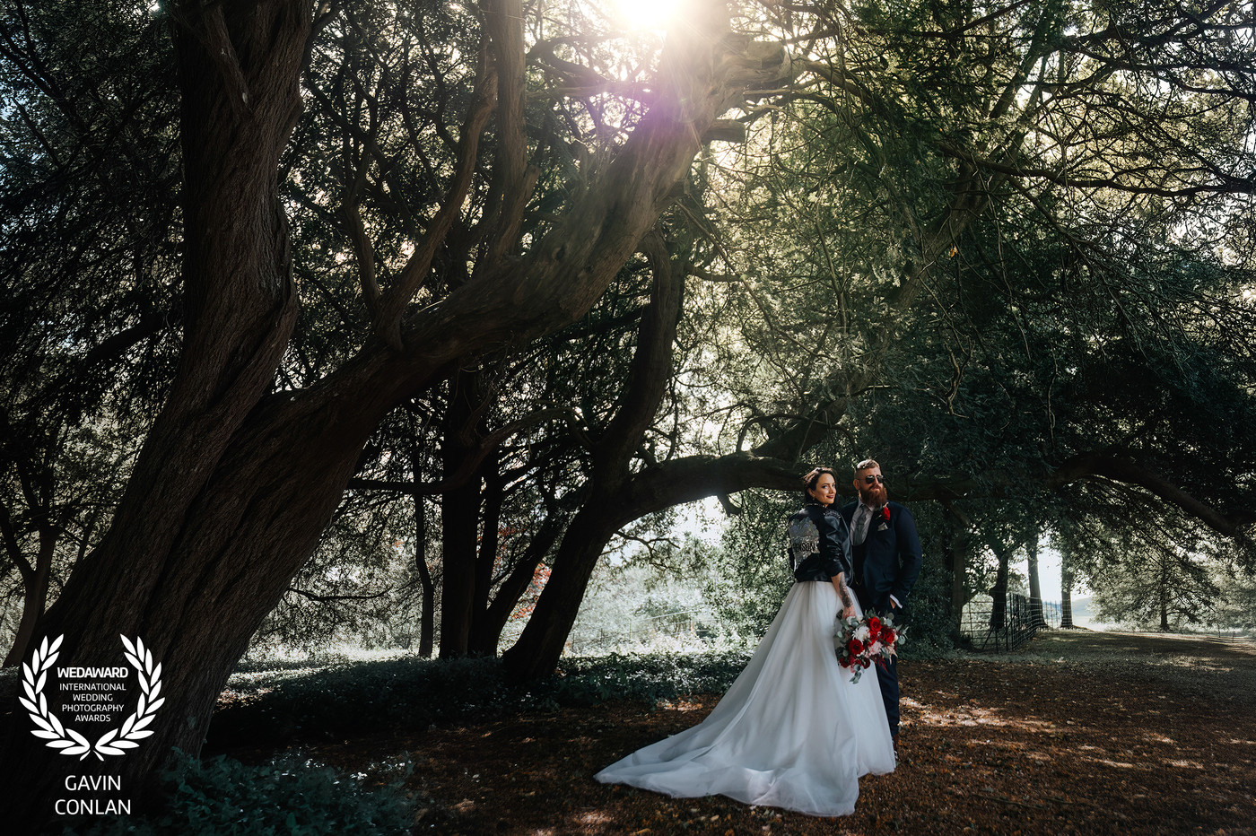 Collection 126 photo by Gavin Conlan