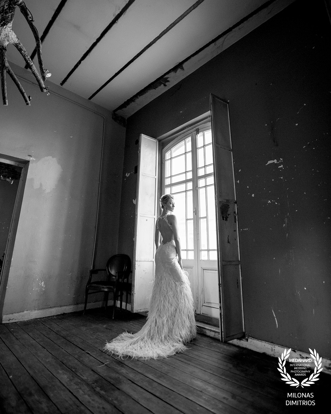Collection 126 photo by Milonas Dimitrios