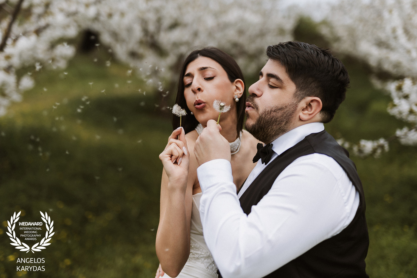 Collection 128 photo by Angelos Karydas