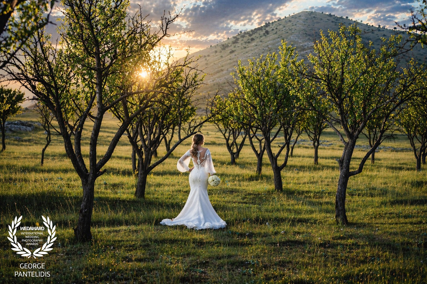 Collection 129 photo by George Pantelidis