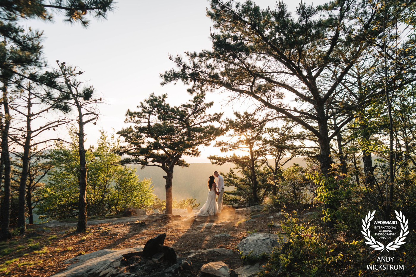 Collection 130 photo by Andy Wickstrom