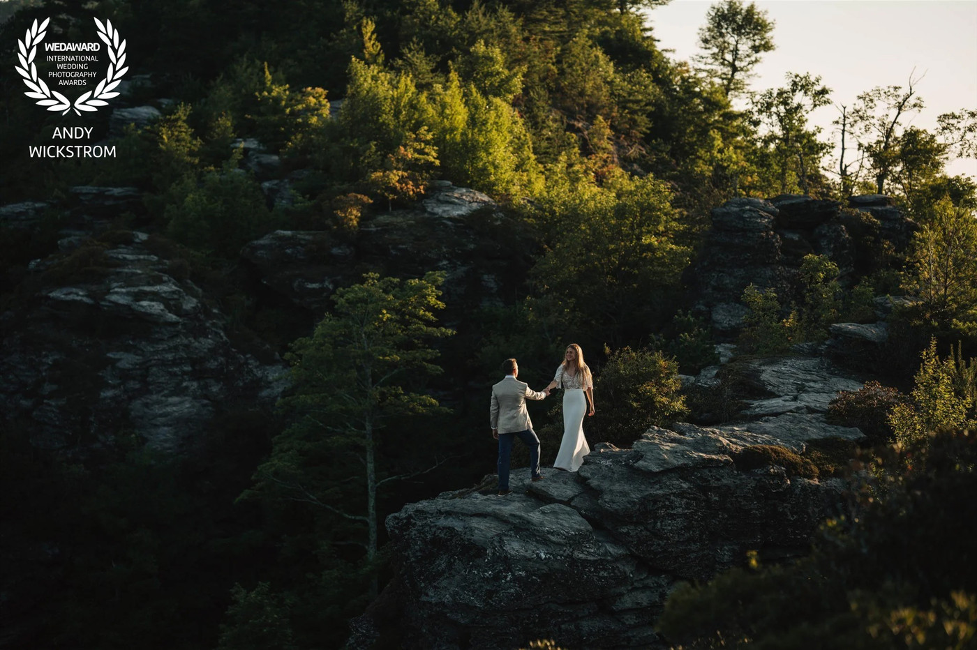 Collection 130 photo by Andy Wickstrom
