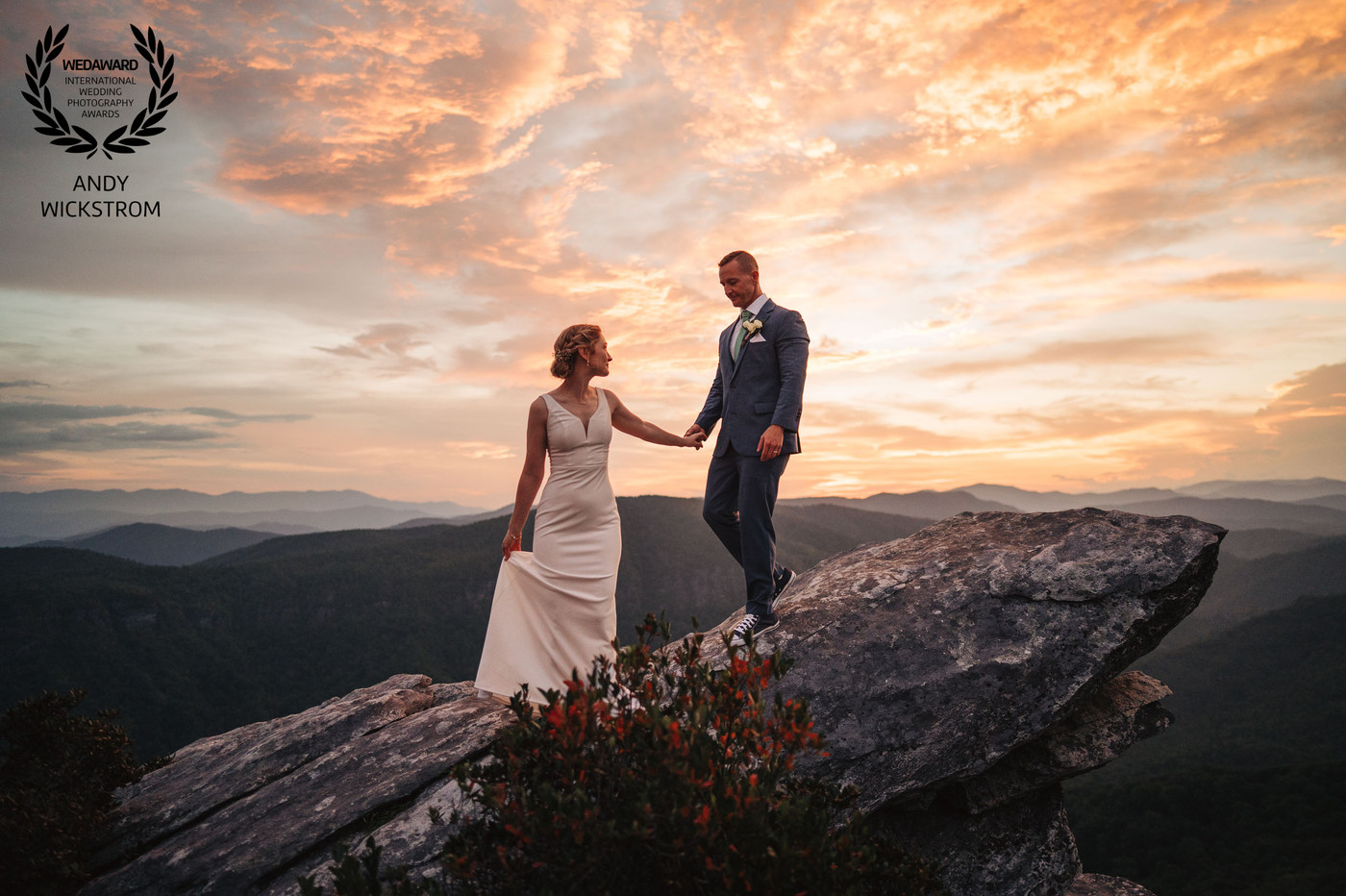 Collection 132 photo by Andy Wickstrom