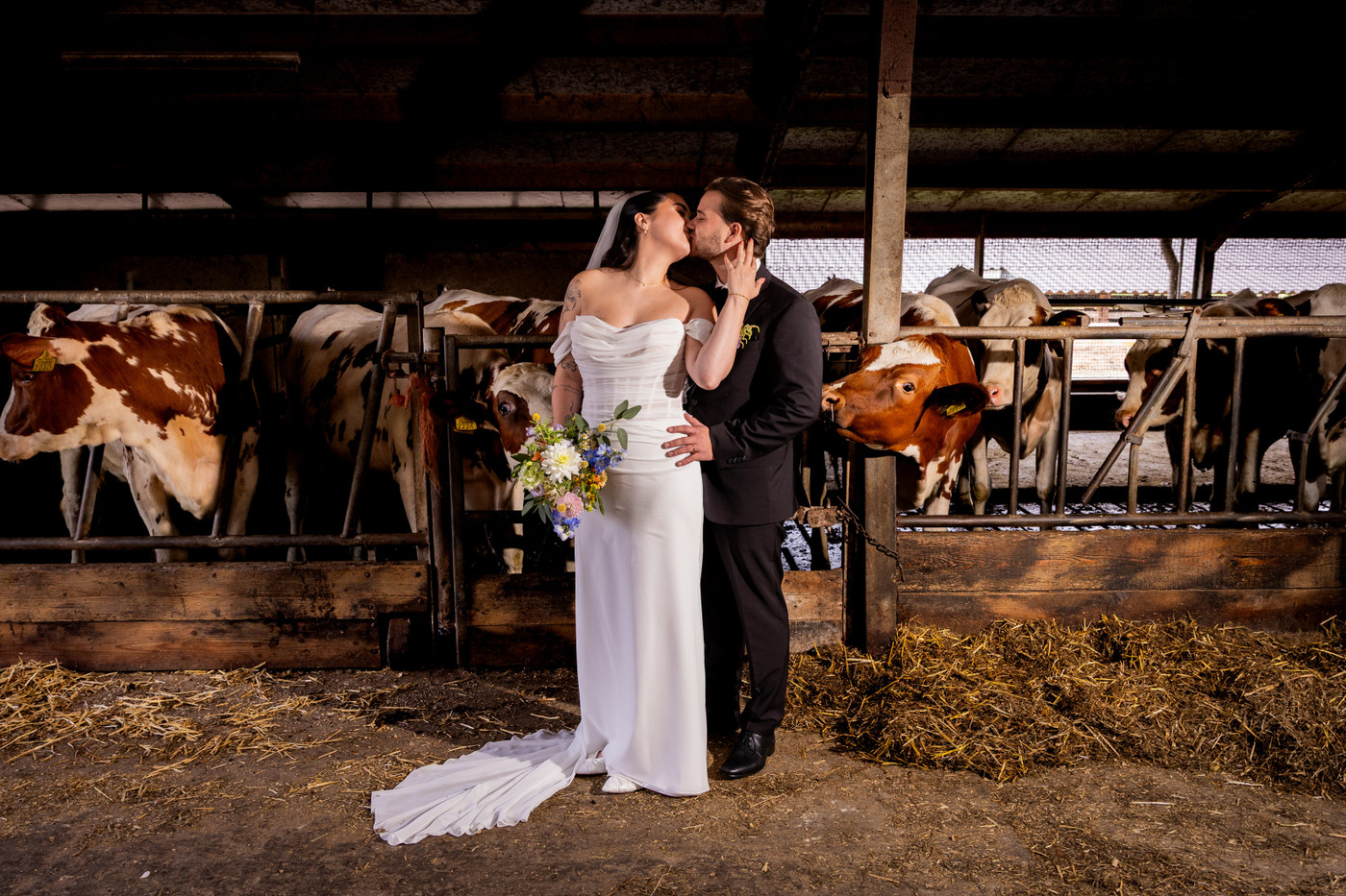 Collection 133 photo by Jill Spijkers