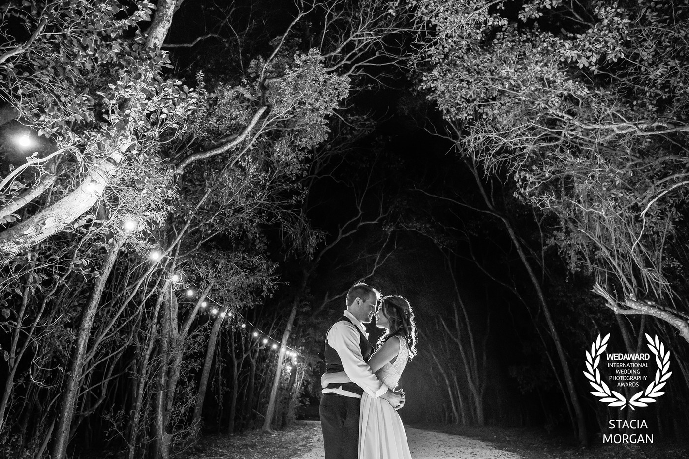 Collection 28 photo by Stacia Morgan