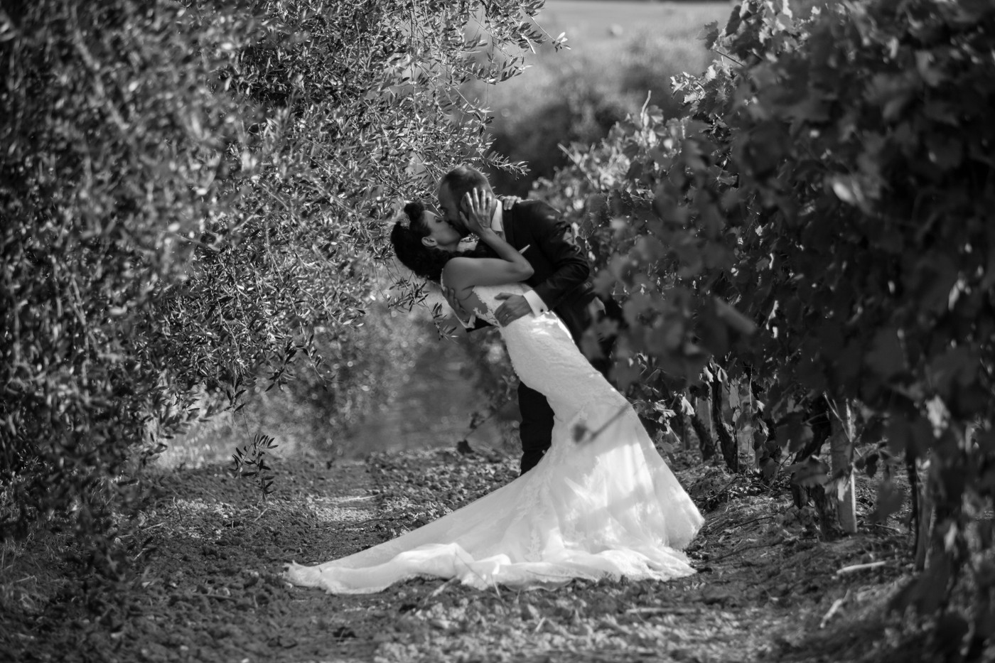 Collection 28 photo by Michele Morri