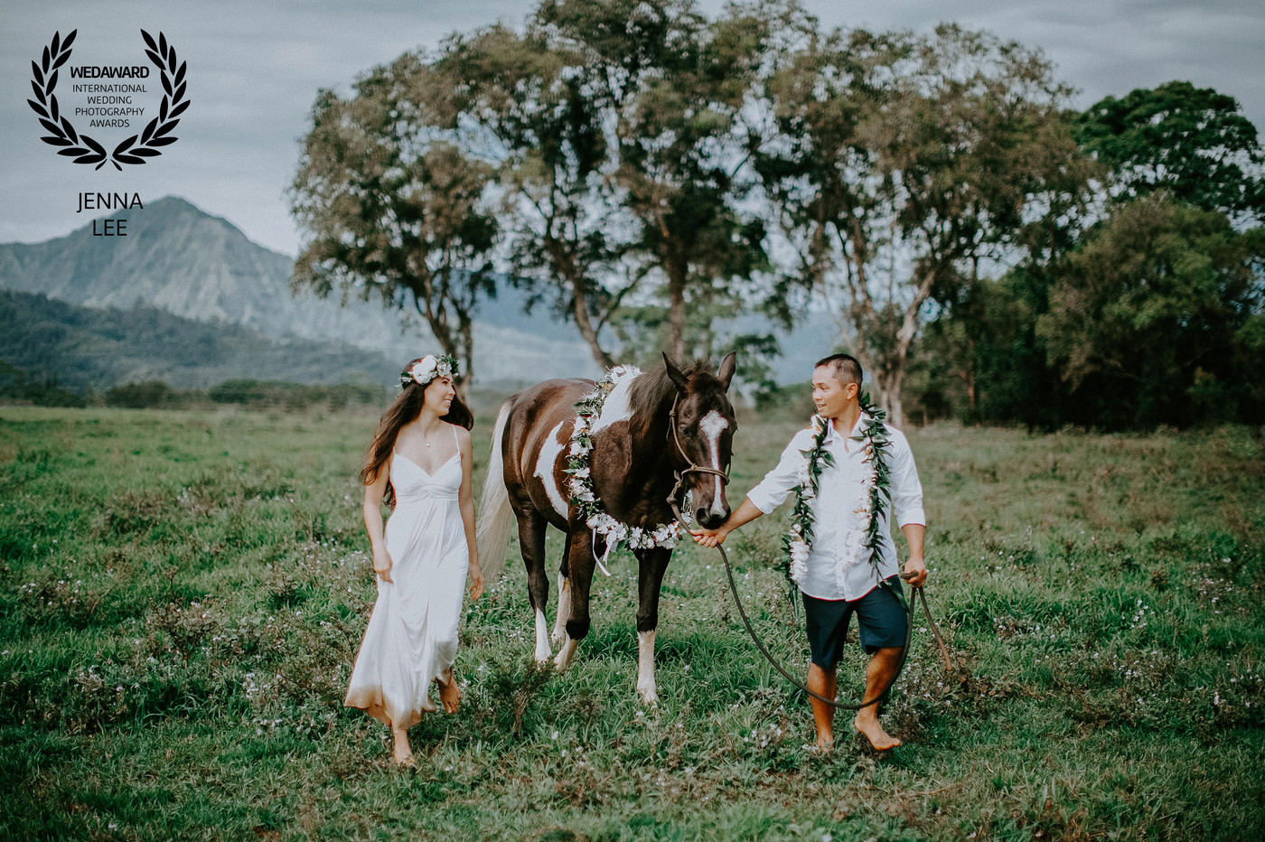 Collection 31 photo by Jenna Lee