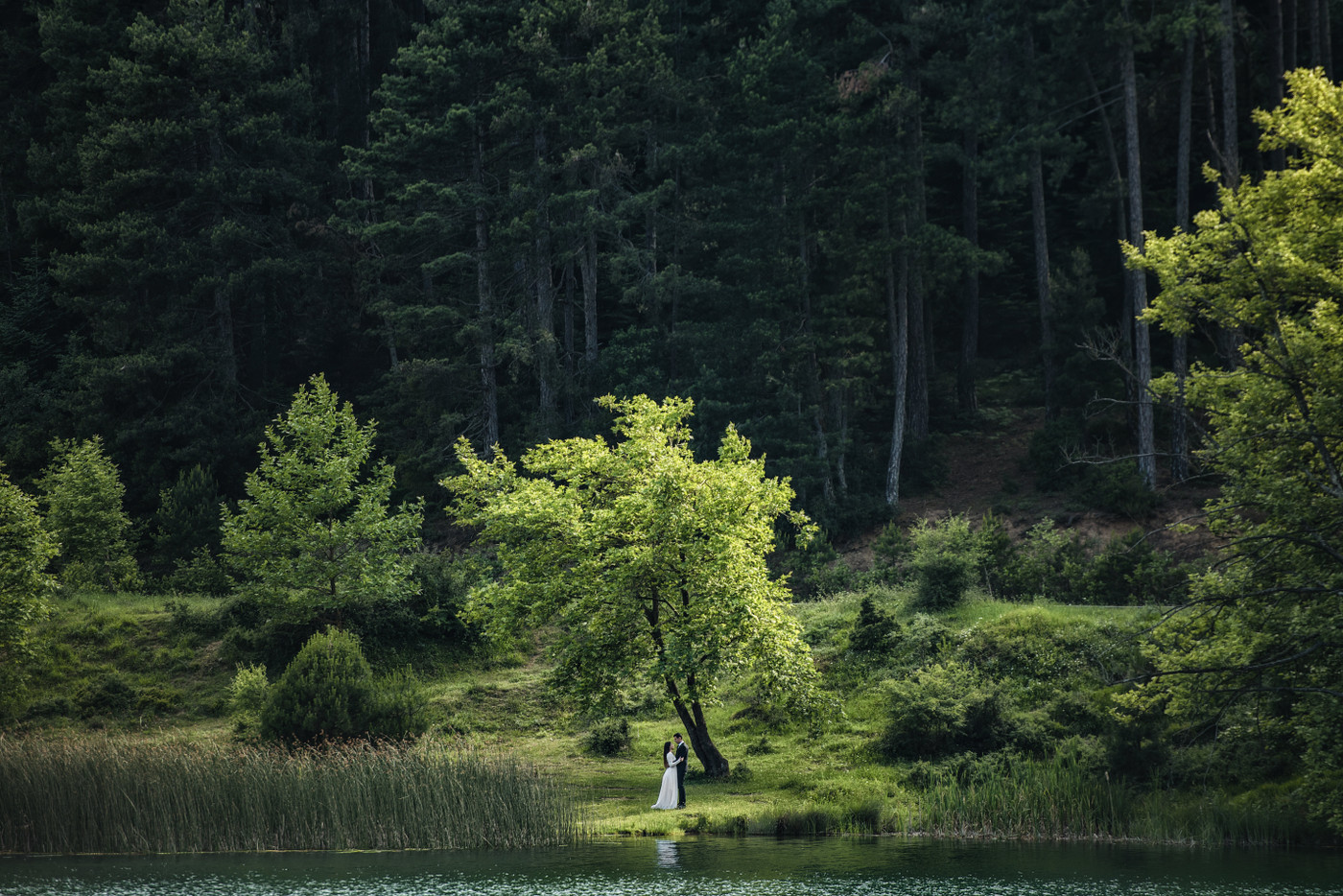 Collection 33 photo by John Makris